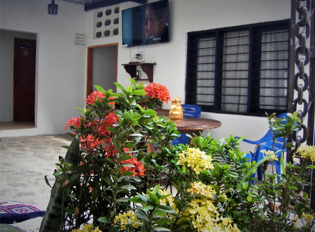 Hostal Palohe 塔甘加 外观 照片