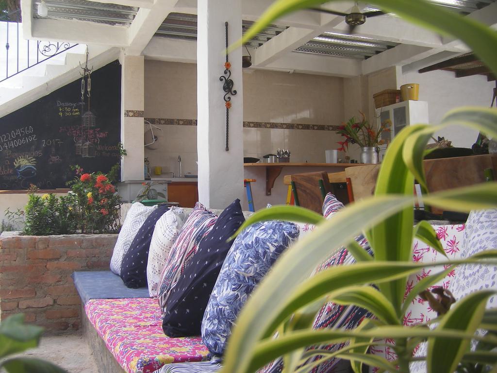 Hostal Palohe 塔甘加 外观 照片